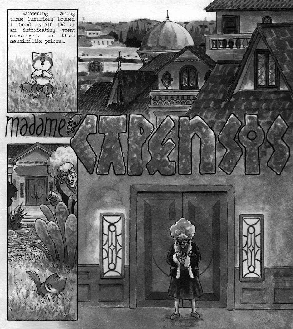 gato Leo Madame Capensis