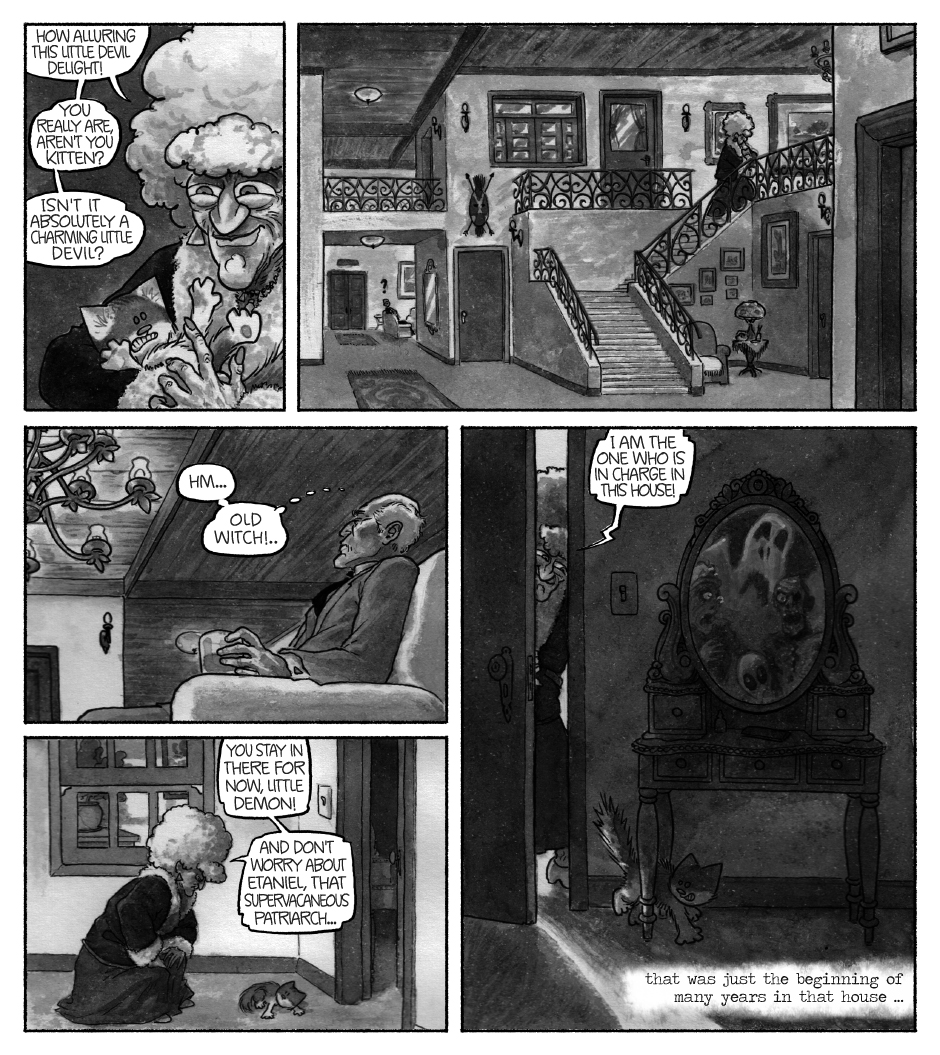 gato Leo Madame Capensis