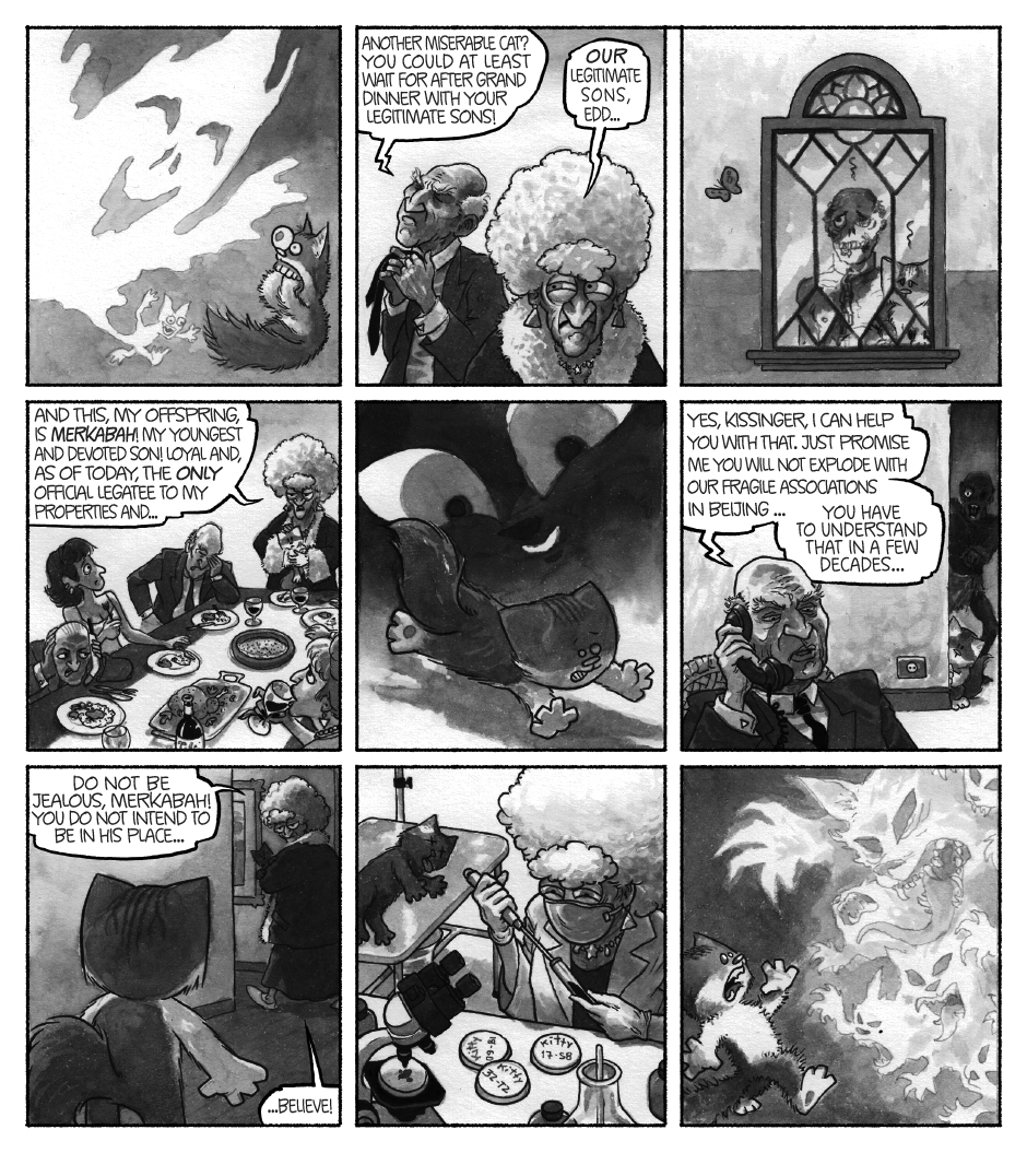 gato Leo Madame Capensis