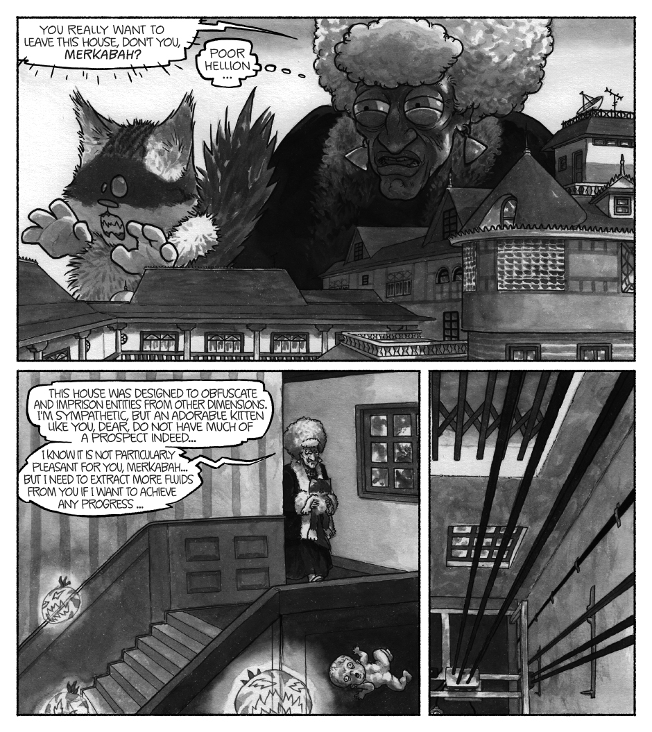 gato Leo Madame Capensis