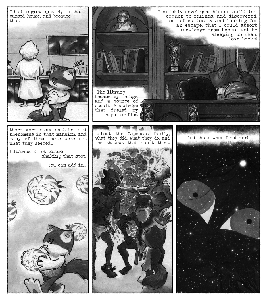 gato Leo Madame Capensis