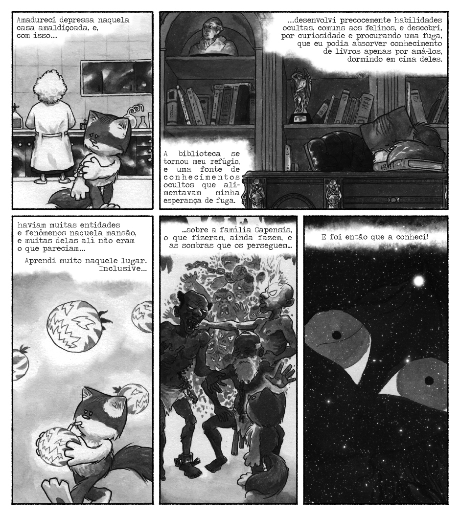 gato Leo Madame Capensis