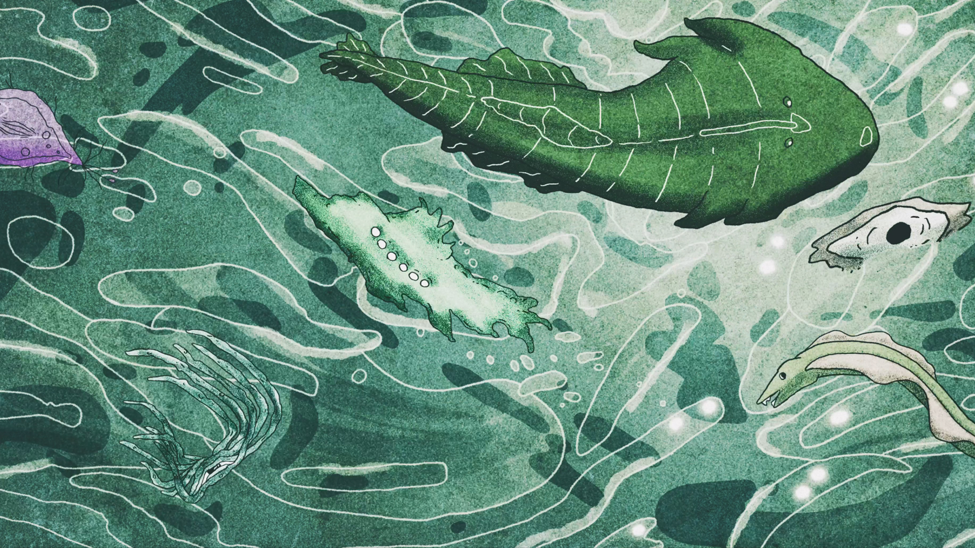 OMEDODEEDU screenshot