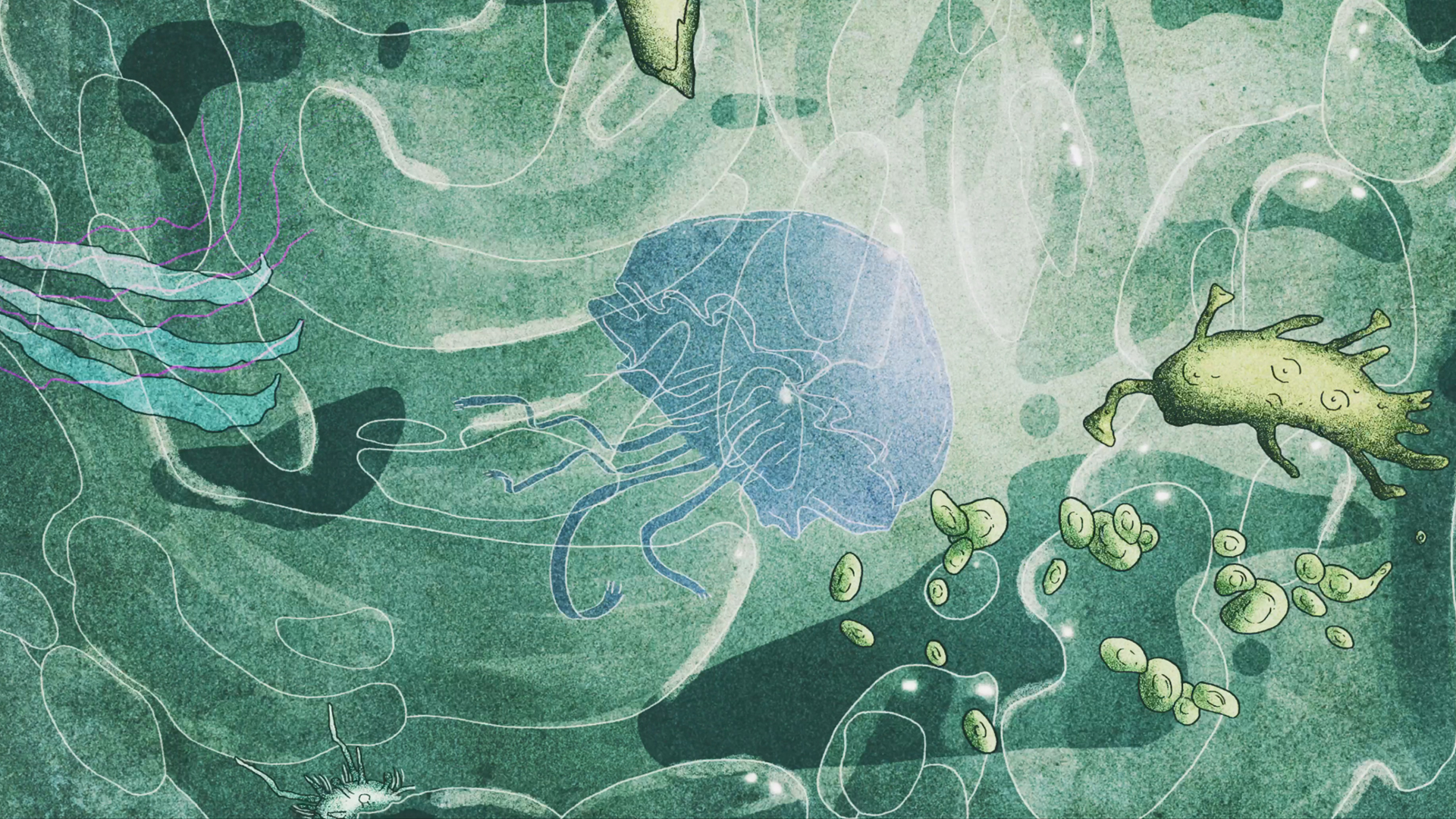 OMEDODEEDU screenshot