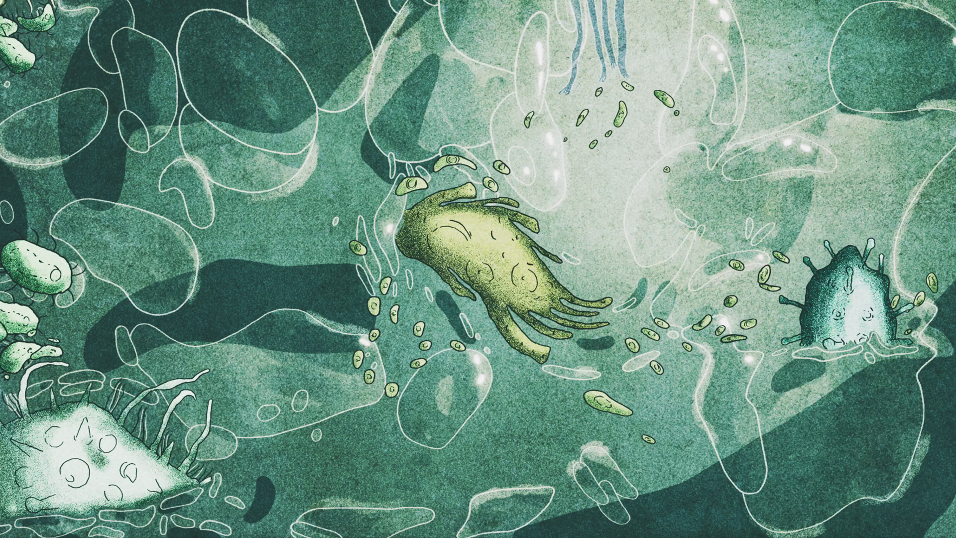 OMEDODEEDU screenshot