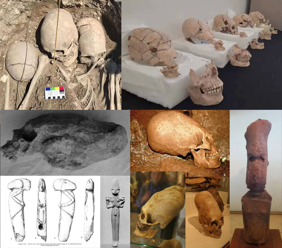 Capensis : Real skulls and ancient legends