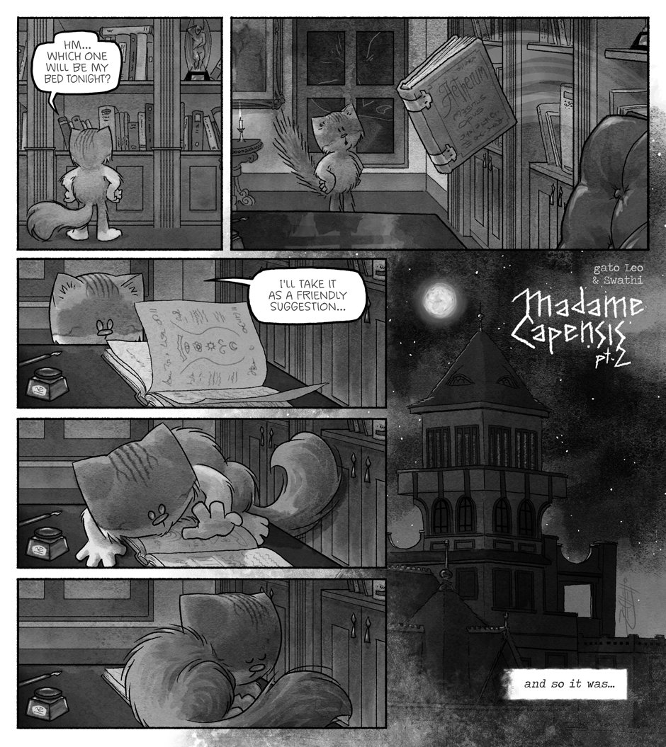 gato Leo Madame Capensis prt. 2